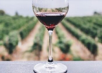 Atrium Wine Brokers to Represent St. Stephen Organic Vineyards in California