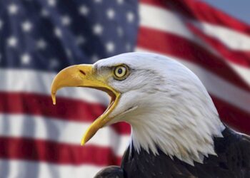 US Yields Soar, Dollar Ends Mixed into FOMC Meet