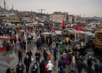 Turkey slashes taxes on basic foods to fight inflation