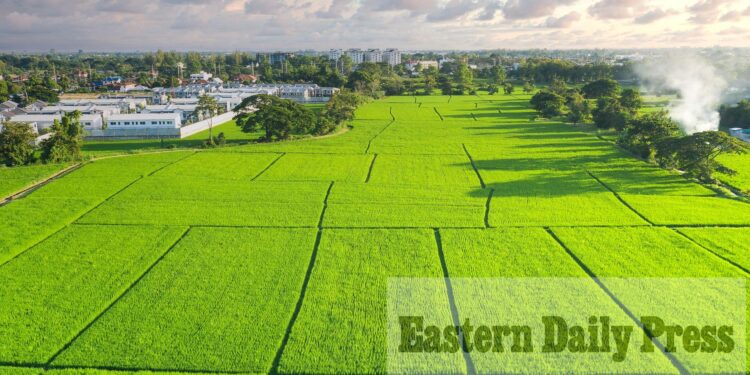 Expert guide to buying land for sale in another currency