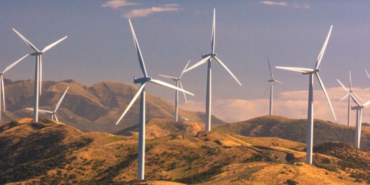 ECV) After Its Third-Quarter Report