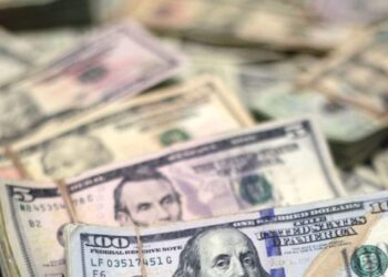 Where Is Ruth Balloon, US Woman Who Turned Millionaire Due To Bank’s Mistake?