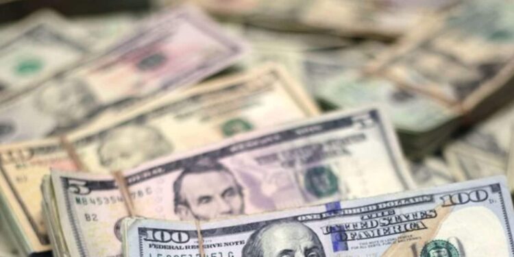 Where Is Ruth Balloon, US Woman Who Turned Millionaire Due To Bank’s Mistake?