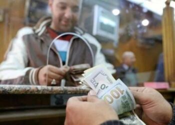 US Dollar Continues Appreciation Against Egyptian Currency, …