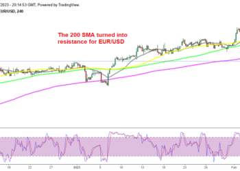 Decisive Moment for EUR/USD, But It Depends on the FED and ECB … – FX Leaders
