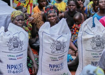 African smallholder farmers count the cost of fertilizer price spike