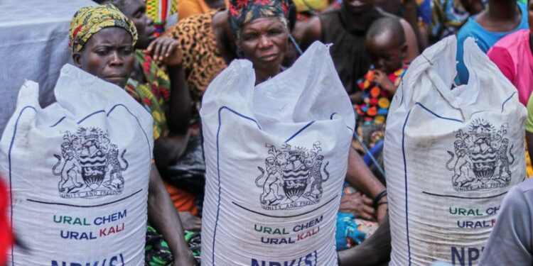 African smallholder farmers count the cost of fertilizer price spike
