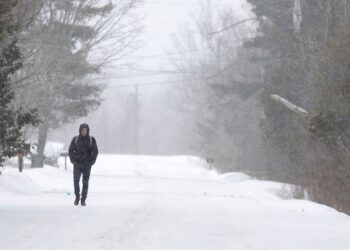 Canada, US agree to deal to close unofficial Roxham Road border crossing -media