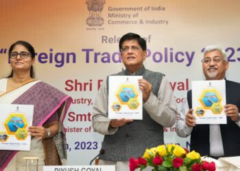 India Ready For Rupee Trade With Countries Facing Currency Crises, Dollar Shortage: Commerce Secretary