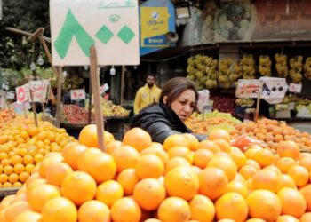 Food inflation, currency collapse 'imperil food security in MENA' – ZAWYA