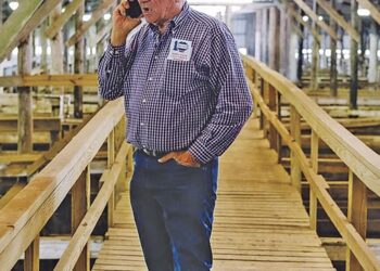 Cattle broker 2023 Ag Man, three others collect honors | News