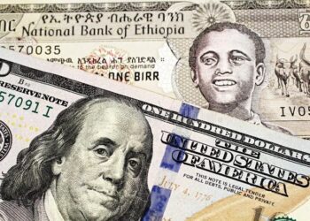 Ethiopian government to take actions against illicit foreign exchange