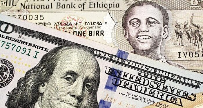 Ethiopian government to take actions against illicit foreign exchange