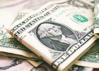 Brazil, India, China Move Away From Currency ━ The European Conservative