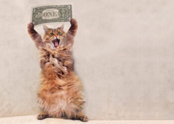 Mountain of risks has dollar poised for best week since February