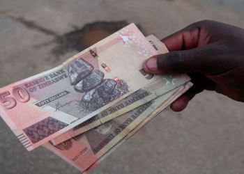 Zimbabwe’s Information Minister laments countries deteriorating currency