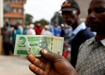 Zimbabwe extends multi-currency system to 2030
