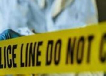 Tamil Nadu doctor, broker arrested for trafficking of newborns, health minister | Latest News India