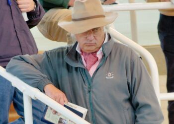 To the manor born: John Magnier's battle to acquire 751-acre estate … – The Currency