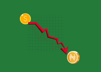 Beyond the Mirage of the Naira’s Exchange Rate