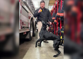 Minnesota’s only currency-detecting K-9 helps with conviction