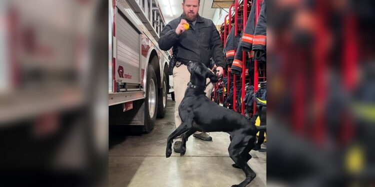 Minnesota’s only currency-detecting K-9 helps with conviction