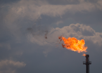 Top crude oil producers and trading forex