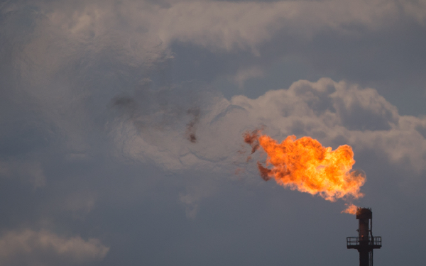 Top crude oil producers and trading forex