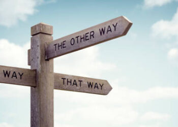 The Weekly Bottom Line: The Long and Bumpy Road