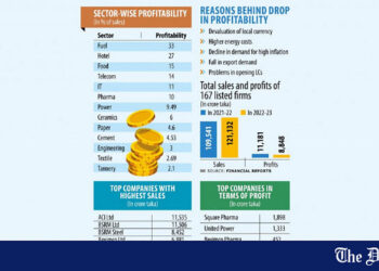 Corporate profit squeezed by energy cost, currency shock