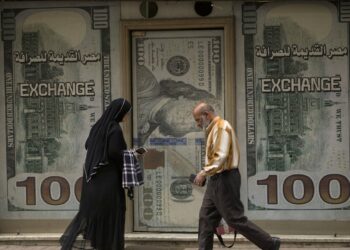 Egypt floats its currency and agrees with the IMF to increase a bailout loan to $8 billion