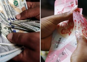 Is Dollarization or a Currency Board the fix?