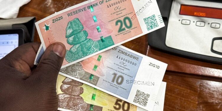 Zimbabwe unleashes police, intelligence services on people rejecting new ZiG currency