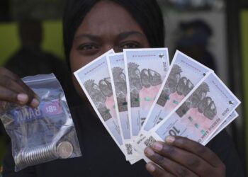 Zimbabwe New Currency | World News