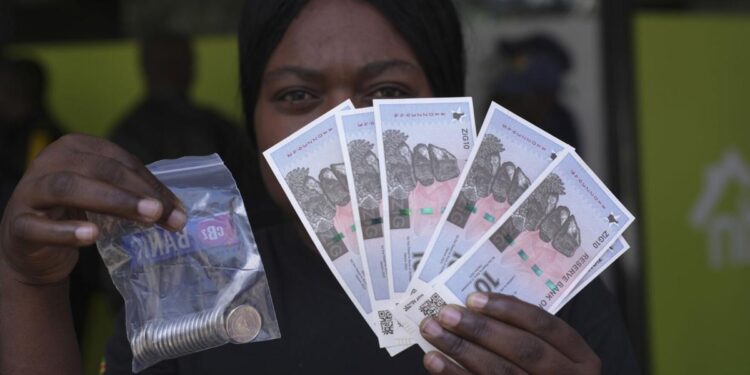 Zimbabwe New Currency | World News