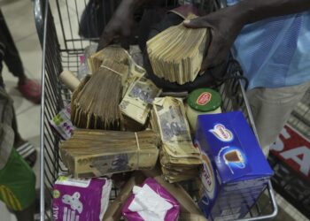 Zimbabwe New Currency | World News