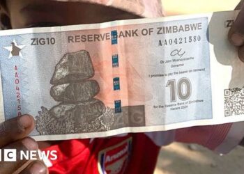 Is Zimbabwe zigzagging into further currency chaos?