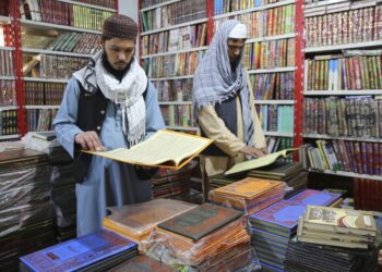 Afghan businesses are making money out of Taliban rule