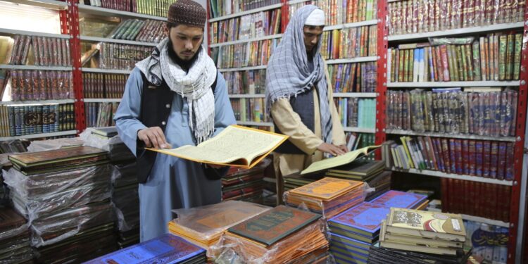 Afghan businesses are making money out of Taliban rule