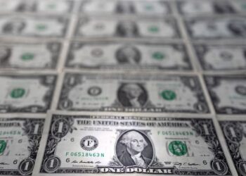 Currency market steadies ahead of US inflation test, Fed decision