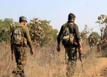 Fake currency notes printed by Maoists seized from Chhattisgarh forest: Police