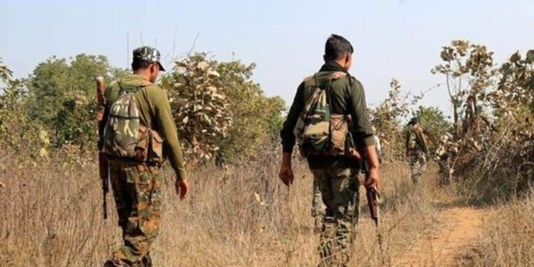 Fake currency notes printed by Maoists seized from Chhattisgarh forest: Police