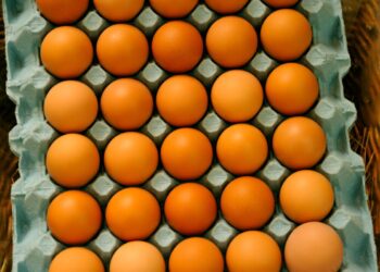 Six decades after it started on the outskirts of Cork city, Riverview Eggs has been sold for €5m