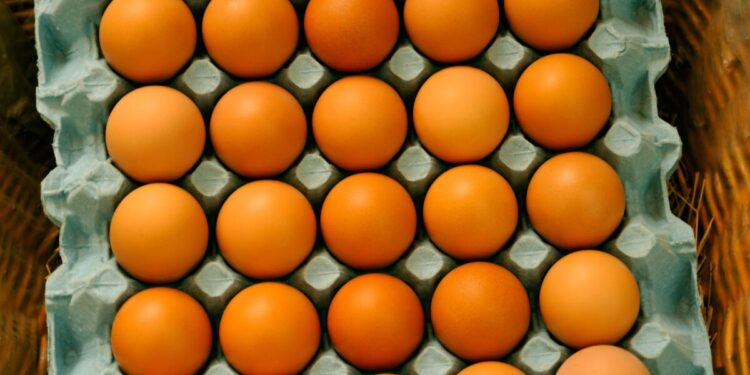 Six decades after it started on the outskirts of Cork city, Riverview Eggs has been sold for €5m