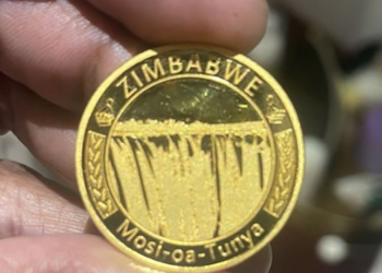 In Zimbabwe, the use of gold-backed currency ZiG grows – Eurasia Business News