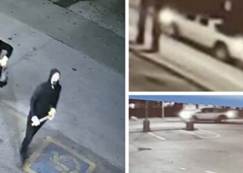 Suspects, info sought following arson at currency exchange business in Vaughan – CP24