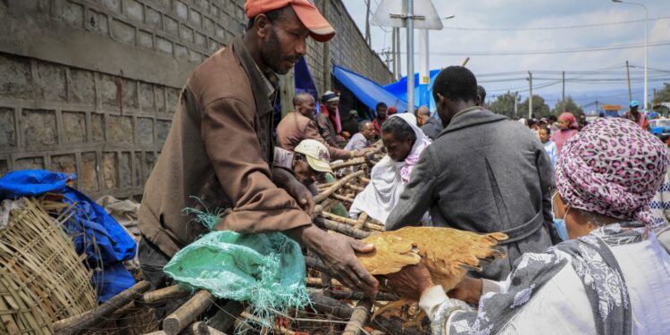 Price instability rocks Ethiopia as it reels from foreign exchange rate reforms