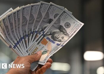 Donald Trump: Why a proposed remittance tax by US could hurt India – bbc.com