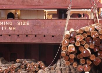 Drop in raw timber and honey exports hits Brazil foreign-exchange revenue