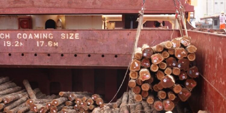 Drop in raw timber and honey exports hits Brazil foreign-exchange revenue